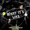 Trainwreck Kenny - What It's Like - Single